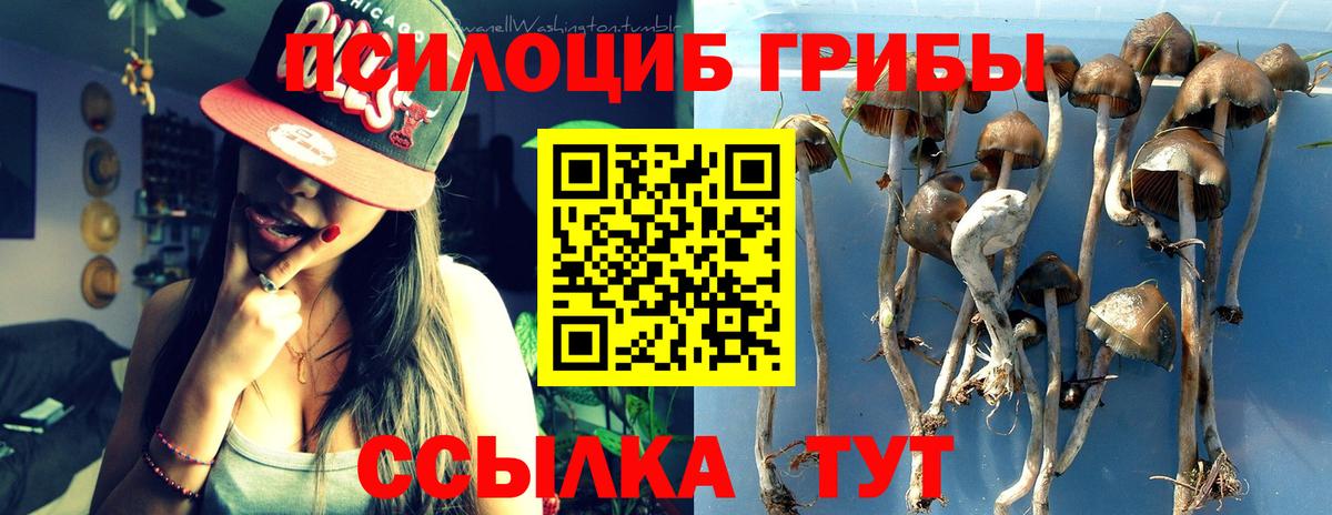 Псилоцибиновые грибы Psilocybine cubensis  Вход с VPN  Чапаевск  Псилоцибиновые грибы Magic Shrooms 