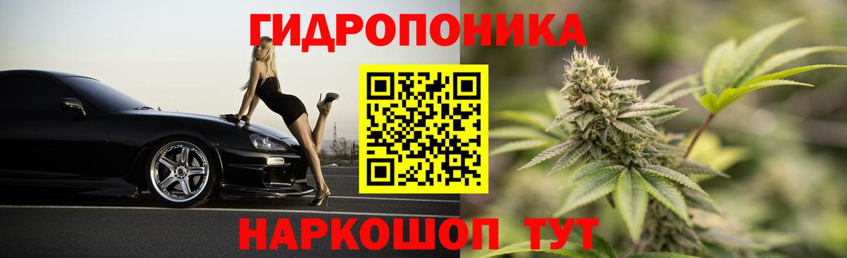 Бошки марихуана планчик Чапаевск